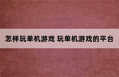 怎样玩单机游戏 玩单机游戏的平台